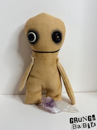 Image 1 of Corwin Hollan