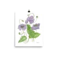 Image 2 of Gray Poppies-Poster Print 