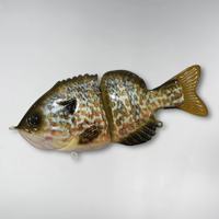 Full Size Gill - Scarlytt’s Pumpkinseed