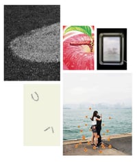 Venice Free Delivery