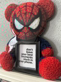 Spider Hero  Love Bear Frame 
