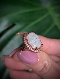 Image 2 of The Karen 