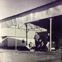 Image 2 of Bobby Volare - Big Orange