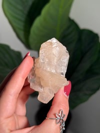Image 2 of BOWTIE STILBITE X DIAMOND APOPHYLITE -INDIA- H