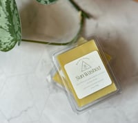 Image 4 of Summer Wax Melts