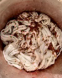 Image 6 of Weaving ourselves Wild 