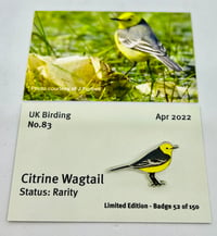 Image 1 of Citrine Wagtail - No.83 UK Birding Pins - Enamel Pin Badge