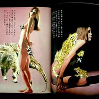 Image 9 of SM Fan 1972 #5
