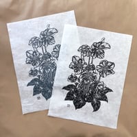 Image 1 of Hellebore Linocut Print