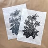 Hellebore Linocut Print
