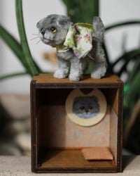 Image 2 of Pipe cleaner Scottish fold kitten with wooden modular display 