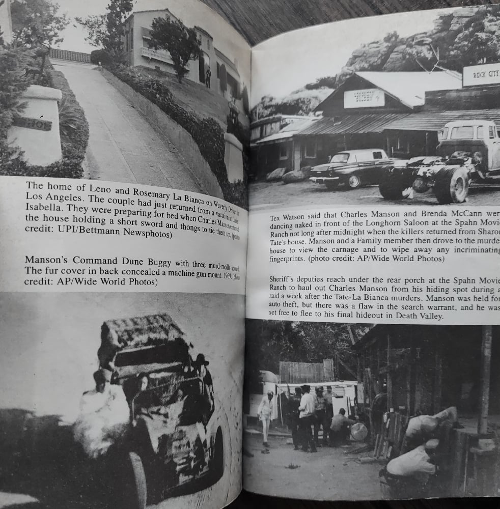 The Family, by Ed Saunders (paperback)