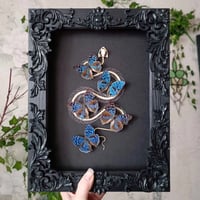 Image 1 of Viper Skeleton & Bue Butterflies