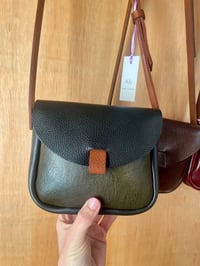 Image 3 of Minnie - Multi