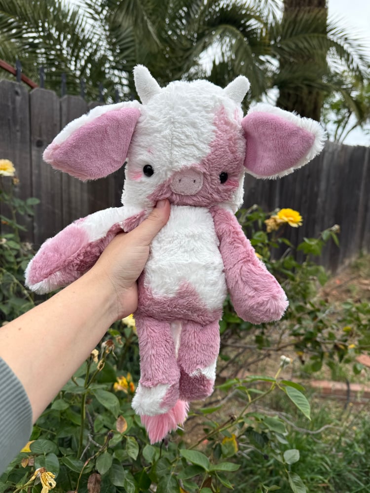 Image of Strawberry cow
