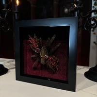 Image 2 of Maroon Floral Tarantula 