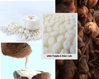 Image 2 of White Pumpkin & Amber Latte