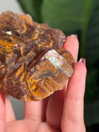Image 8 of NATURAL RAINBOW IRIDESCENT CUBIC FLUORITE -CHINA- F