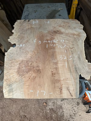 Figured maple 11