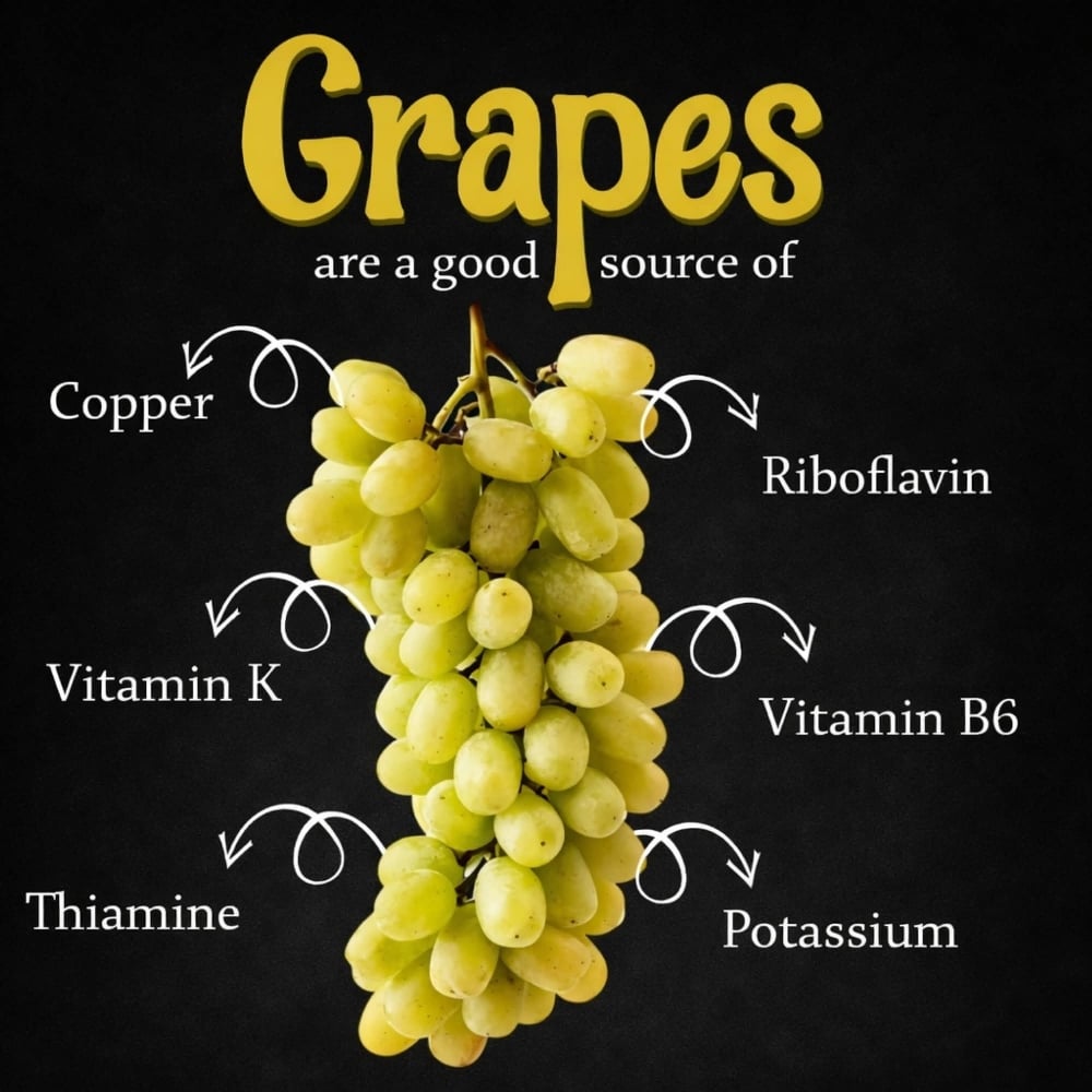 SEEDED Raisins & Grapeseed Powders. Pathogen Protection-Nerves-Cardiovascular-Veins-Circulation
