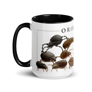 Oribatida colors mug