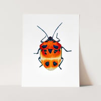 Image 2 of Camellia Shield Bug Art Print, Watercolor Shield Beetle Illustration, Insect Wall Decor