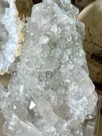 Image 9 of Large Clear Quartz Points Cluster Statement Piece #2596