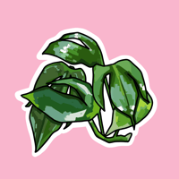 dragons tail sticker