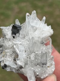 Image 2 of Huebnerite & Fine Quartz Points Specimen #2617