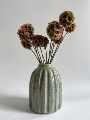 Image of Sage vase 