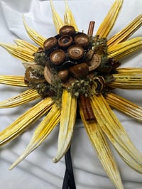 Image 5 of Okra  Sunflower,  the Woods