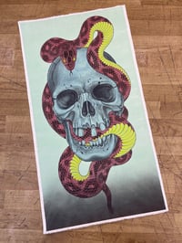 Skull and Snake 13