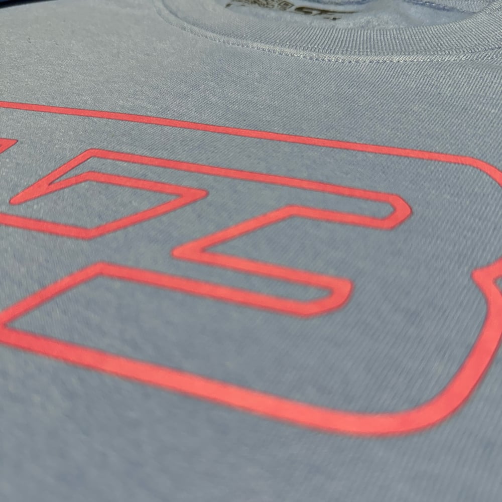 Pink On Carolina Blue Hoodie/Crewneck