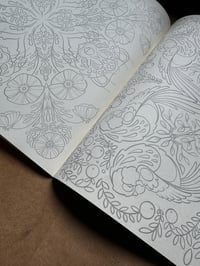 Image 5 of Fur, Feathers, Fins and Scales - 2024 Coloring Book