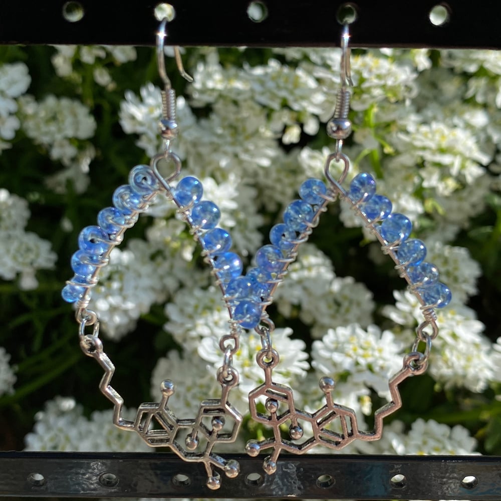 Image of blue thc chemical formula earrings