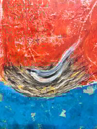 Image 3 of Shelter & Carry- Shanny Brooke