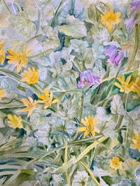Image 5 of ‘New beginnings’ Print