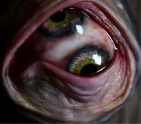 Image 17 of Custom Swappable Phone Grip for smartphones, glow in the dark double iris, reflective pupil