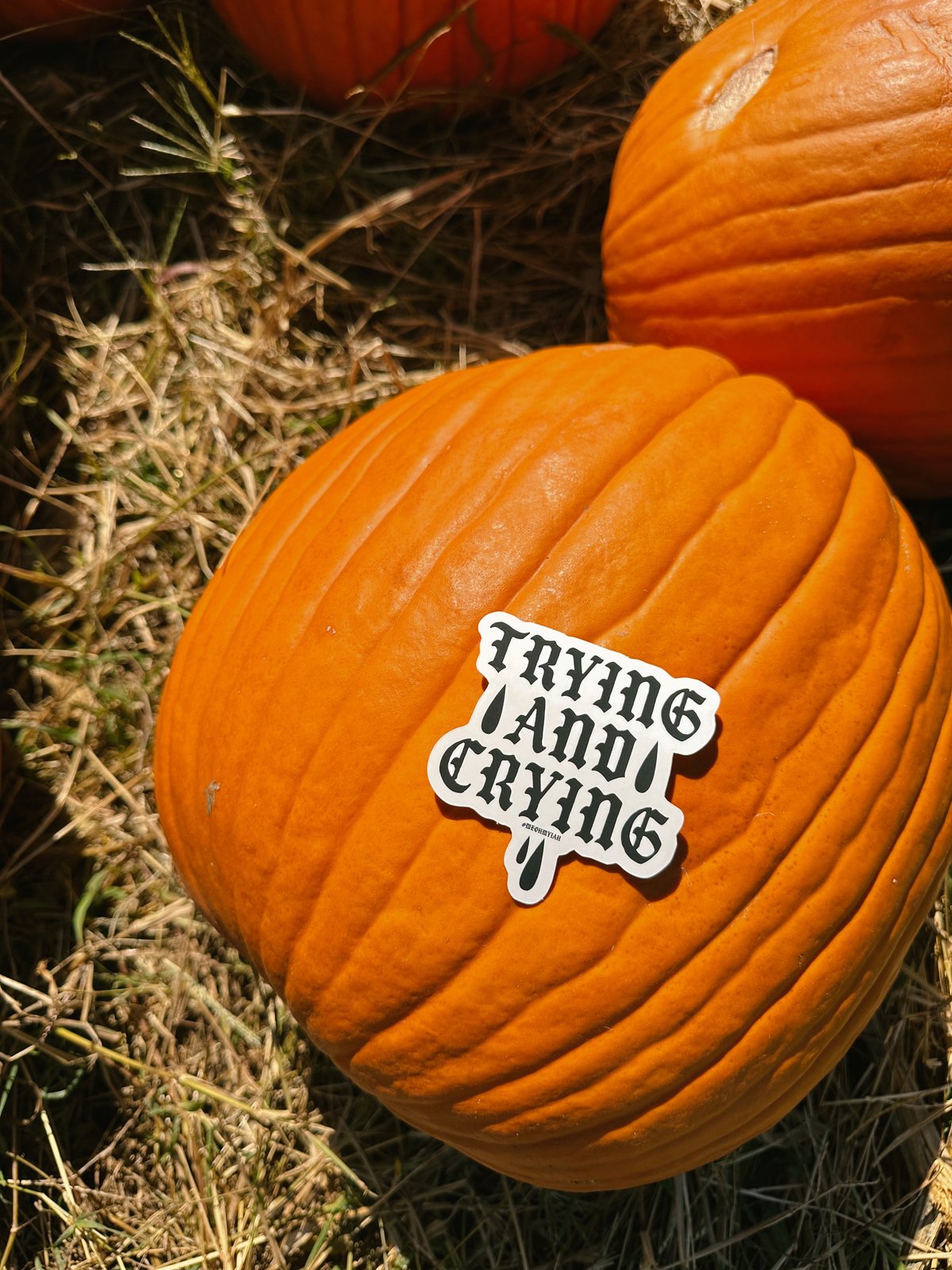 Trying and Crying Sticker 