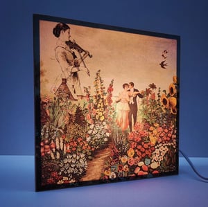 Image of Amor botánico