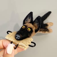 Image 1 of German Shepherd