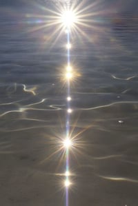 Image 1 of Therapeutic Vinyasa — One Place left OPEN for this Week 