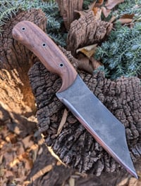 Image 2 of WALNUT SEAX 2