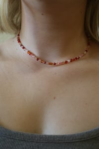 Image 4 of Pinkalicious