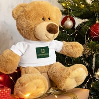 Teddy bear with a t-shirt