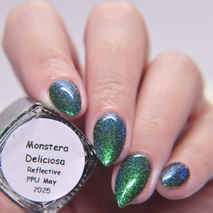 Image of Polish Pickup -  Monstera Deliciosa
