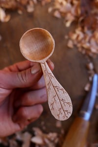 Image 6 of ~ Coffee Scoop 