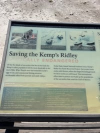 Image 5 of Turtle Love Tapestry 