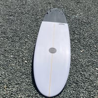 Image 14 of Maluku Flying Frog Black Tail Dip