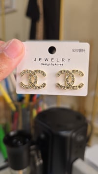 Fashion Earrings (style 21)